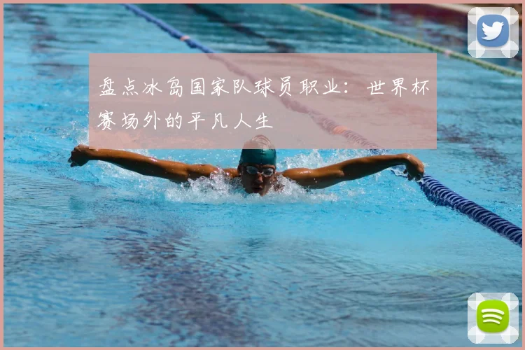 盘点冰岛国家队球员职业：世界杯赛场外的平凡人生