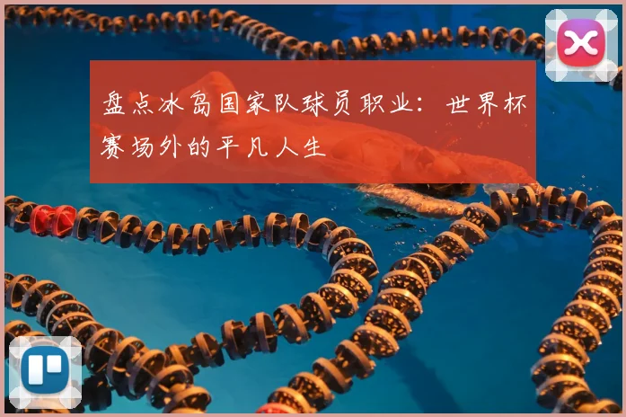 盘点冰岛国家队球员职业：世界杯赛场外的平凡人生