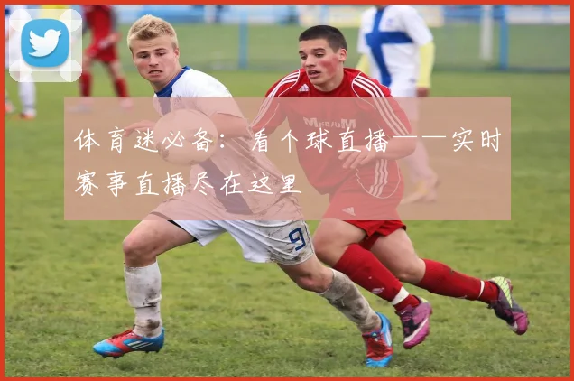 体育迷必备：看个球直播——实时赛事直播尽在这里