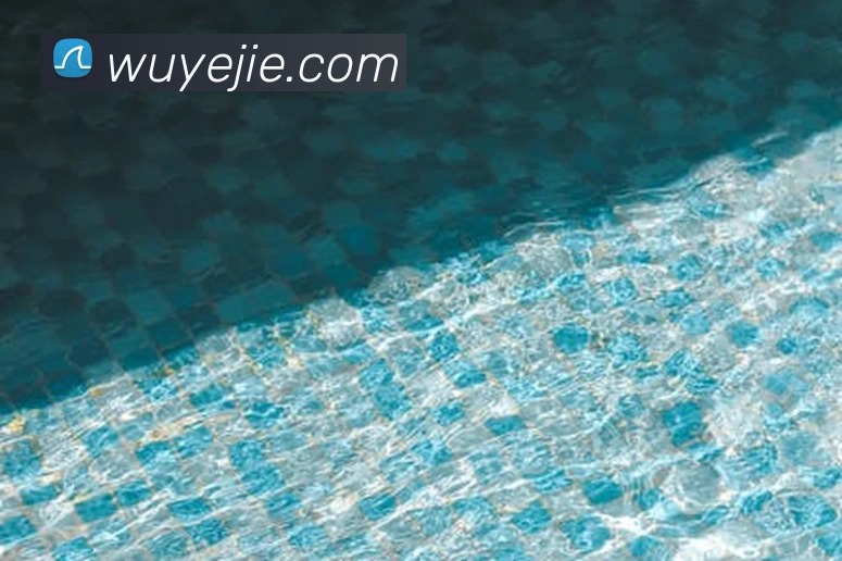 6t体育app官网APP 封面图